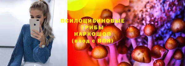 MESCALINE Сясьстрой