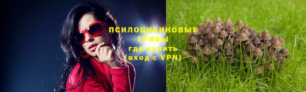 Альфа ПВП Тавда