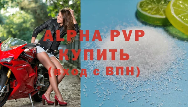 СК Волосово