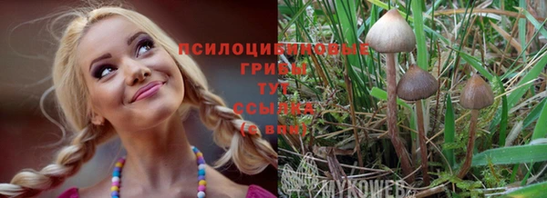 СК Волосово
