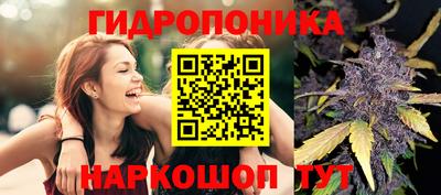 ПСИЛОЦИБИНОВЫЕ ГРИБЫ Кандалакша