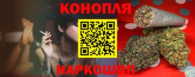 шишки Аргун