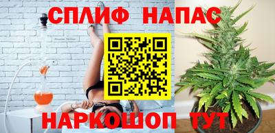 шишки Аргун