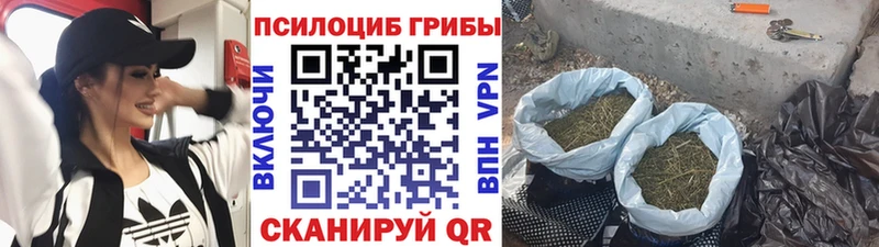 цены наркотик Междуреченск Галлюциногенные грибы Psilocybine cubensis