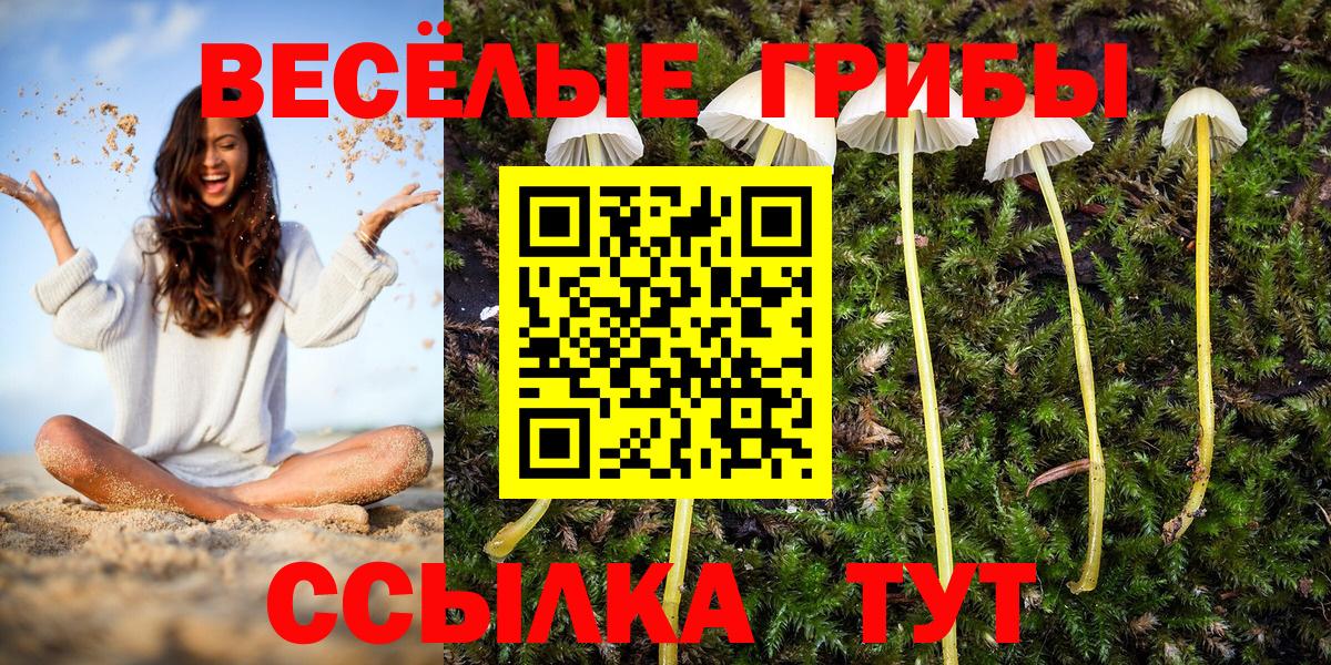 Псилоцибиновые грибы прущие грибы Междуреченск
