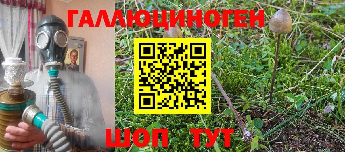 Галлюциногенные грибы прущие грибы  Псилоцибиновые грибы Psilocybine cubensis  хочу   Вход с VPN  Междуреченск 